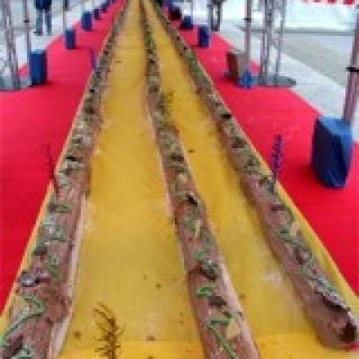 Une bûche de noël de plus de 200 Mètres