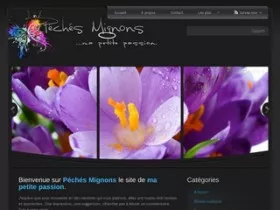 Péchés Mignons