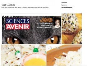 Vert Cantine