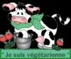 L'ASSIETTE VéGéTARIENNE