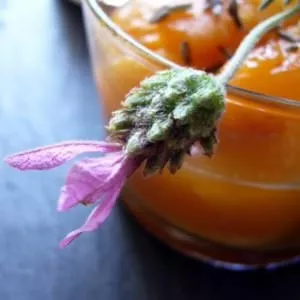 rapide à cuisiner Compote d'abricots,gingembre et fleur de lavande cuisiner la recette