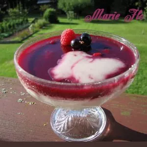 simple à préparer Crème vanille et gelée de cassis recette de