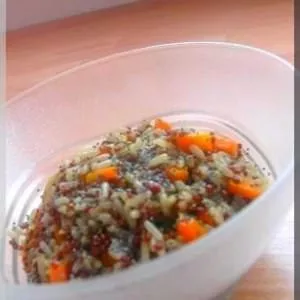 facile à cuisiner Quinoa aux carottes cuisine végétarienne