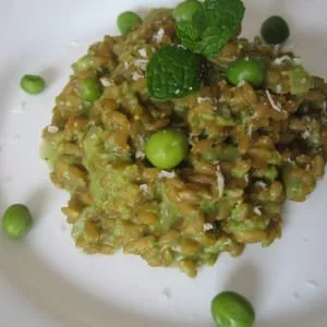 facile Risotto de petit épeautre au petit pois à la menthe cuisiner la recette