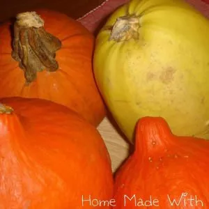 simple à cuisiner Spaghettis végétaux de courge, sauce tomate basilic et... recette de