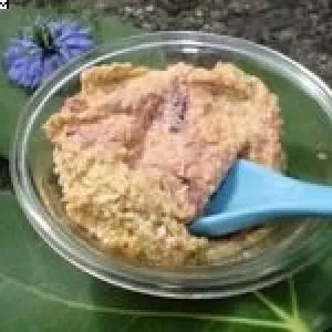 simple à préparer Tartinade aux Carottes & Radis cuisine végétarienne