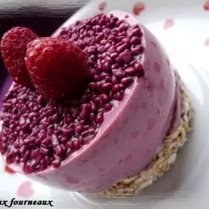 facile à cuisiner Entremets à la framboise recette végétarienne