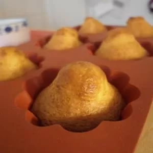 rapide à cuisiner Muffins au citron et au yaourt maison  cuisine végétarienne