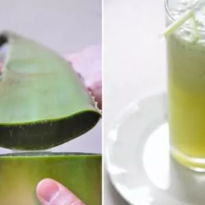 rapide à cuisiner Smoothie à l'aloé Vera cuisiner la recette