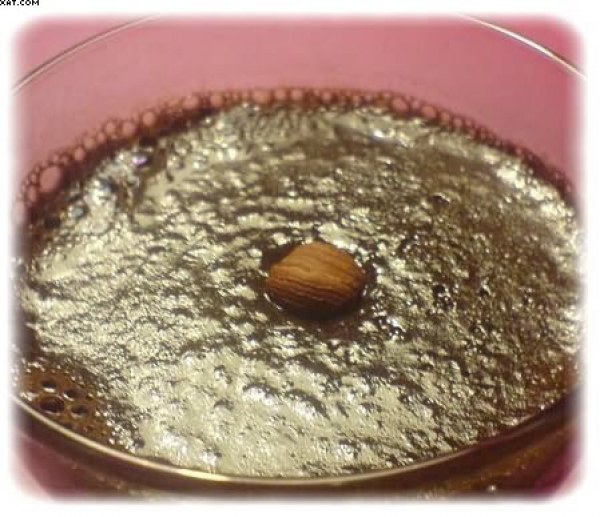 Crèmes Fondantes chocolat noisettes