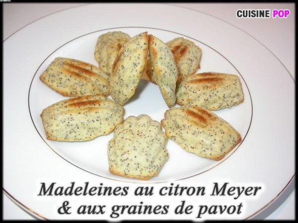 Madeleines au citron Meyer et aux graines de Pavot
