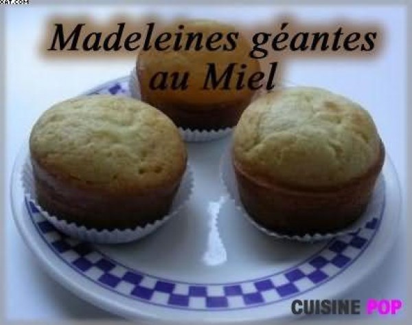 Madeleines au miel