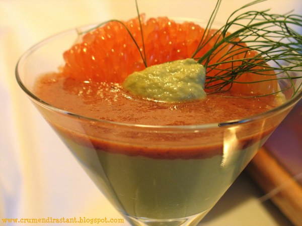 Mousse de Fenouil avec Coulis de Pamplemousse rose, Pomme & Cacao cru