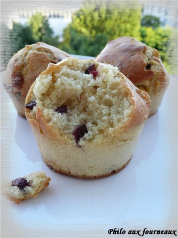 Muffins au chocolat blanc & aux cranberries
