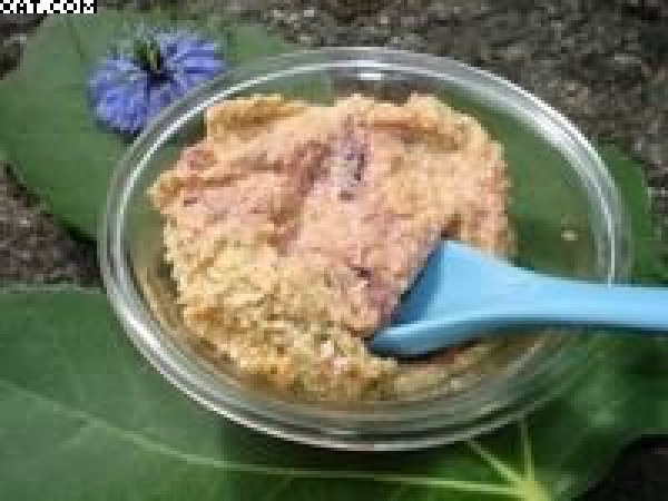 Tartinade aux Carottes & Radis