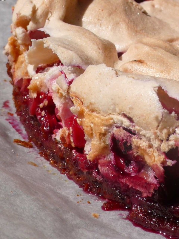 Biscuit -Meringue aux Fruits des bois