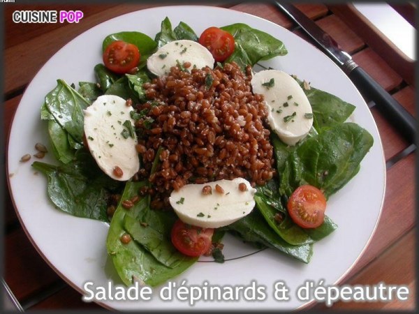 Salade de pousses d'épinards & d'épeautre aux graines